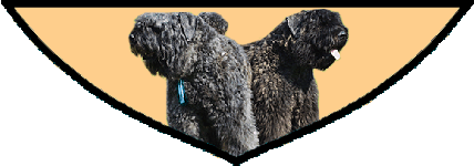 SITE WEB ELEVAGE DU CLOS DE LA LUETTE SPECIALISE POUR LE BOUVIER DES FLANDRES &copy; COPYRIGHT DEPOSE